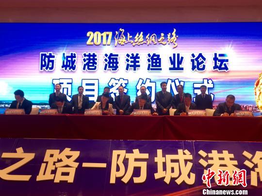 防誠港最新,防誠港的最新發(fā)展，機遇與挑戰(zhàn)并存