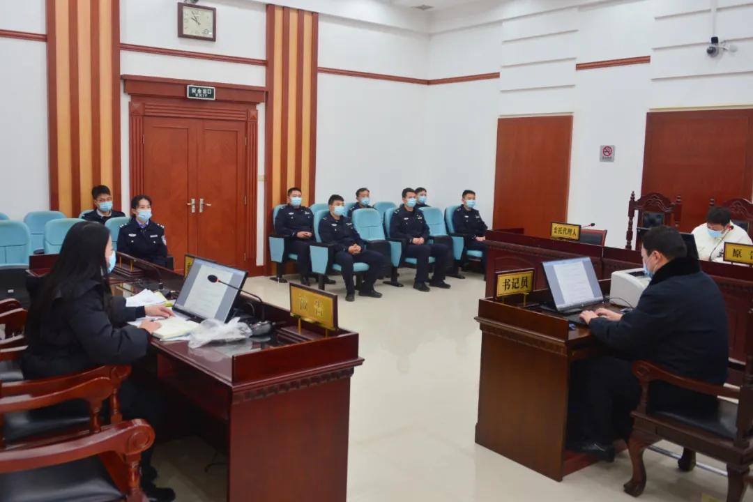 憲法案件最新動(dòng)態(tài)，小巷深處的情懷與特色小店的奇遇