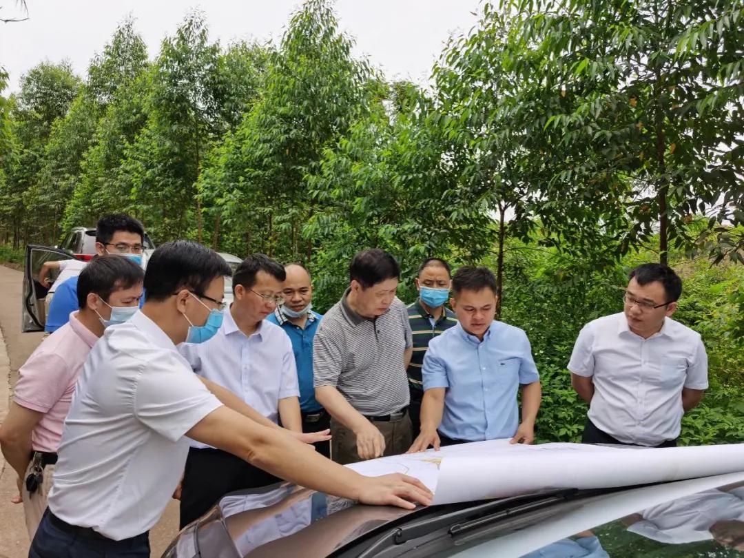 南寧龍象谷最新資訊，游玩指南與技能學(xué)習(xí)步驟全解析