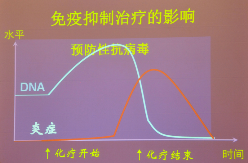 肝炎新進展揭秘，小巷深處的秘密小店探索