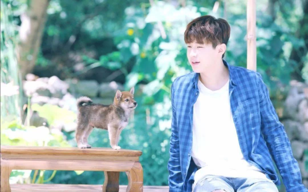 夏雪黃磊攜手演繹別樣精彩人生，新作品震撼來襲！???