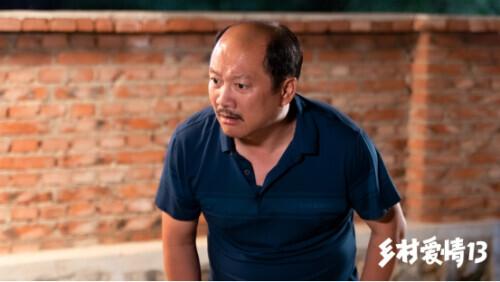 當代鄉(xiāng)土風情歡樂呈現(xiàn)，最新鄉(xiāng)村喜劇劇集