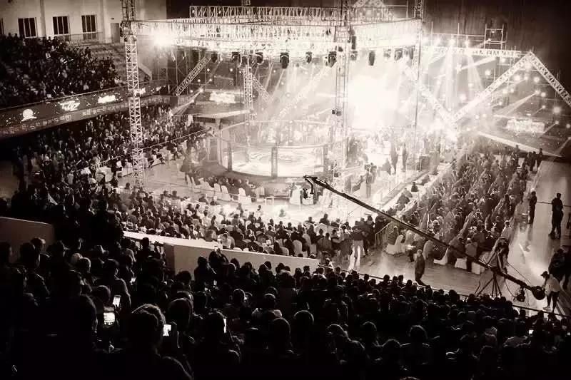 武林籠中對最新一期，自然美景中的對決與內(nèi)心平靜之旅