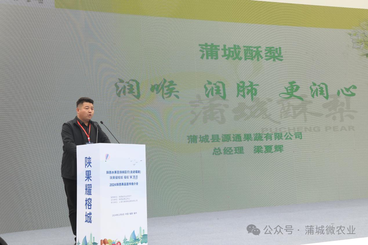 梨城資訊速遞，探索梨城新動(dòng)態(tài)與發(fā)展趨勢(shì)