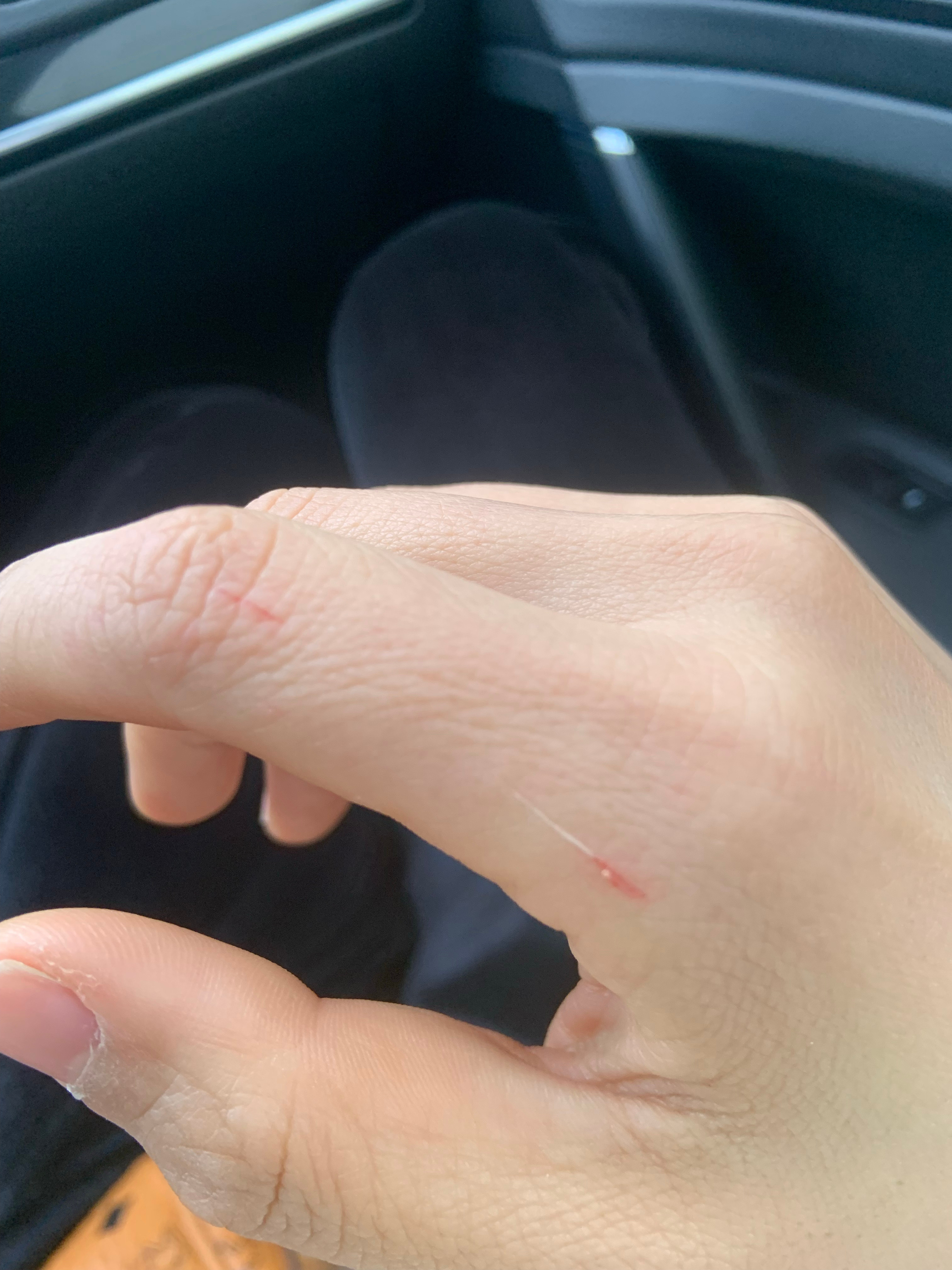 最新口子，開啟學(xué)習(xí)之旅，擁抱變化的力量