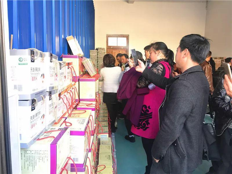 最新職業(yè)資訊，洞悉行業(yè)趨勢與人才需求洞察