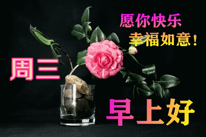 最新早晨問(wèn)候動(dòng)態(tài)表情包，溫馨問(wèn)候，從表情開(kāi)始！