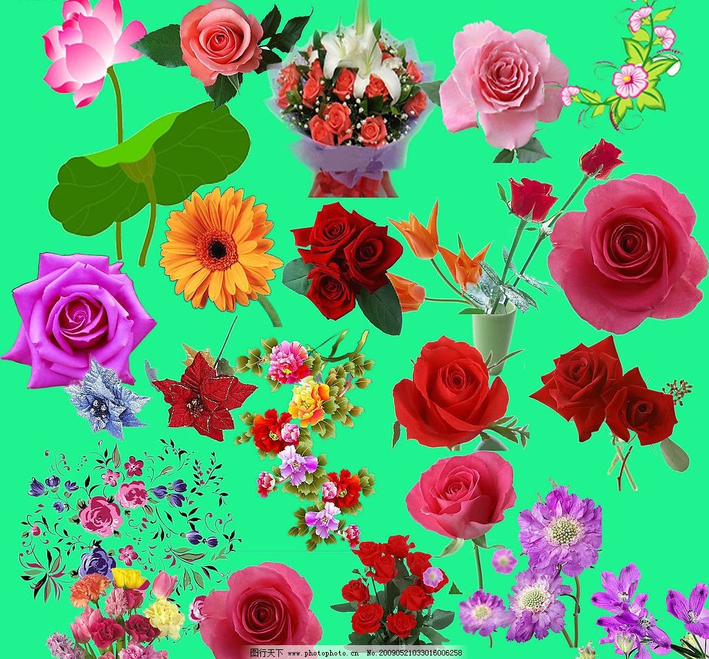 最新花款下載，愛與陪伴的溫馨之旅