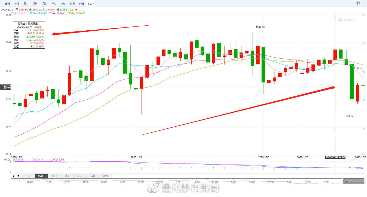 外匯今日行情，市場波動與溫馨故事交織的旅程