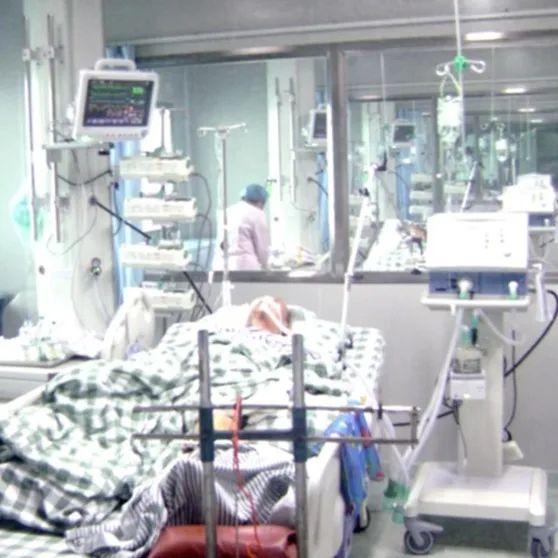 廣東人才招聘信息啟航，探索自然美景，尋覓內心寧靜之旅