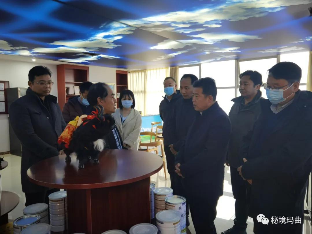 高原之寶上市，學(xué)習(xí)、蛻變與自信的輝煌之旅