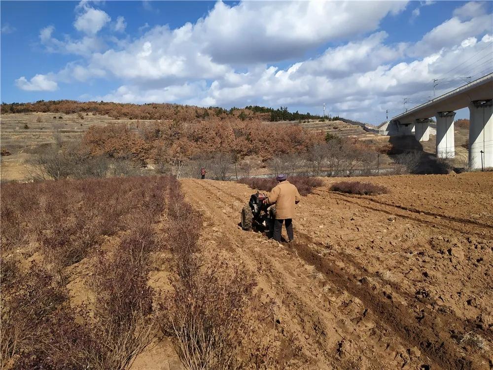 揭秘衡陽張家山規(guī)劃更新，小巷風情與隱藏小店的獨特魅力