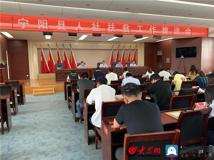 寧陽網(wǎng)最新資訊，城市中的溫情日常