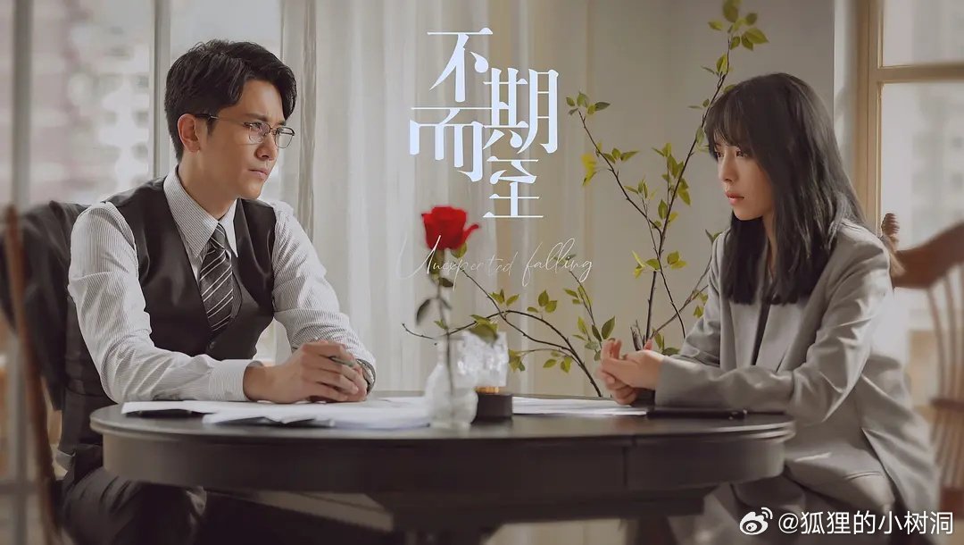 不期而至電視劇，從入門到進階的觀看指南