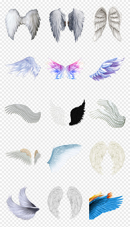 動漫翅膀繪制指南，從白紙起步，繪出飛翔的勵志翅膀！