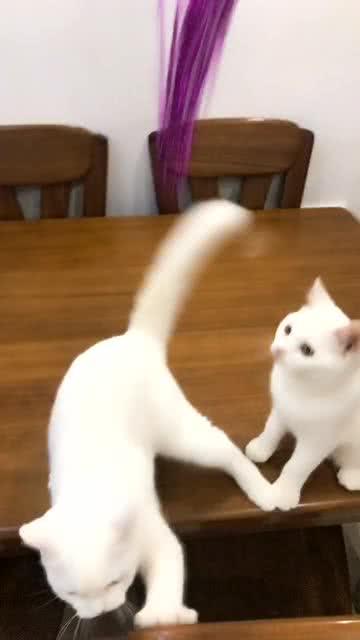 運(yùn)動場館燈具 第193頁