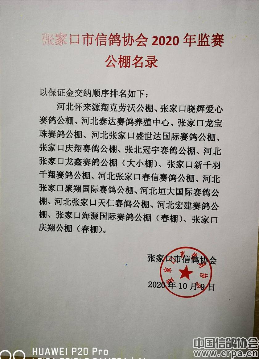 東光信鴿協(xié)會(huì)最新通告，小巷深處的獨(dú)特風(fēng)味揭秘與信鴿活動(dòng)更新通知