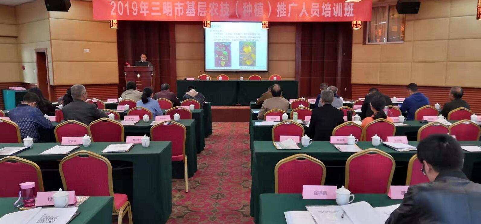 豇豆最新，廚房中的友情與家的溫馨