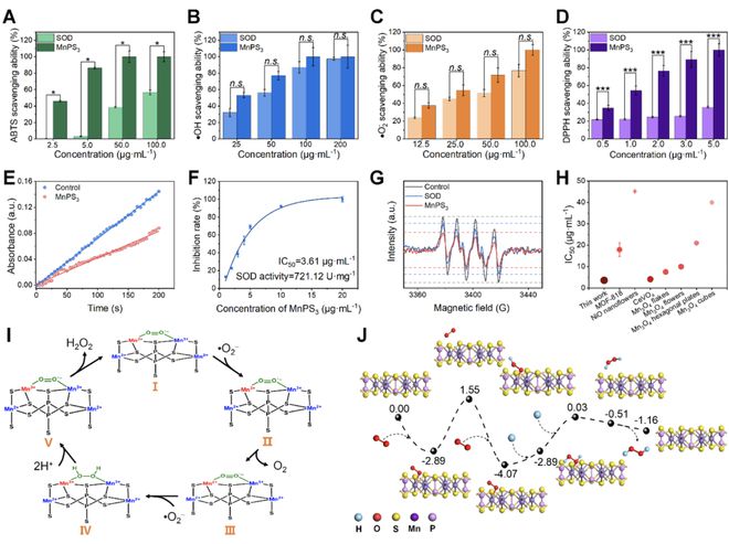 頭發(fā)再生研究新動(dòng)態(tài),頭發(fā)再生研究新動(dòng)態(tài)，小巷深處的秘密秀發(fā)實(shí)驗(yàn)室