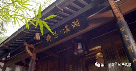 高密西湖茶樓最新資訊，一壺茶，品味溫情時光