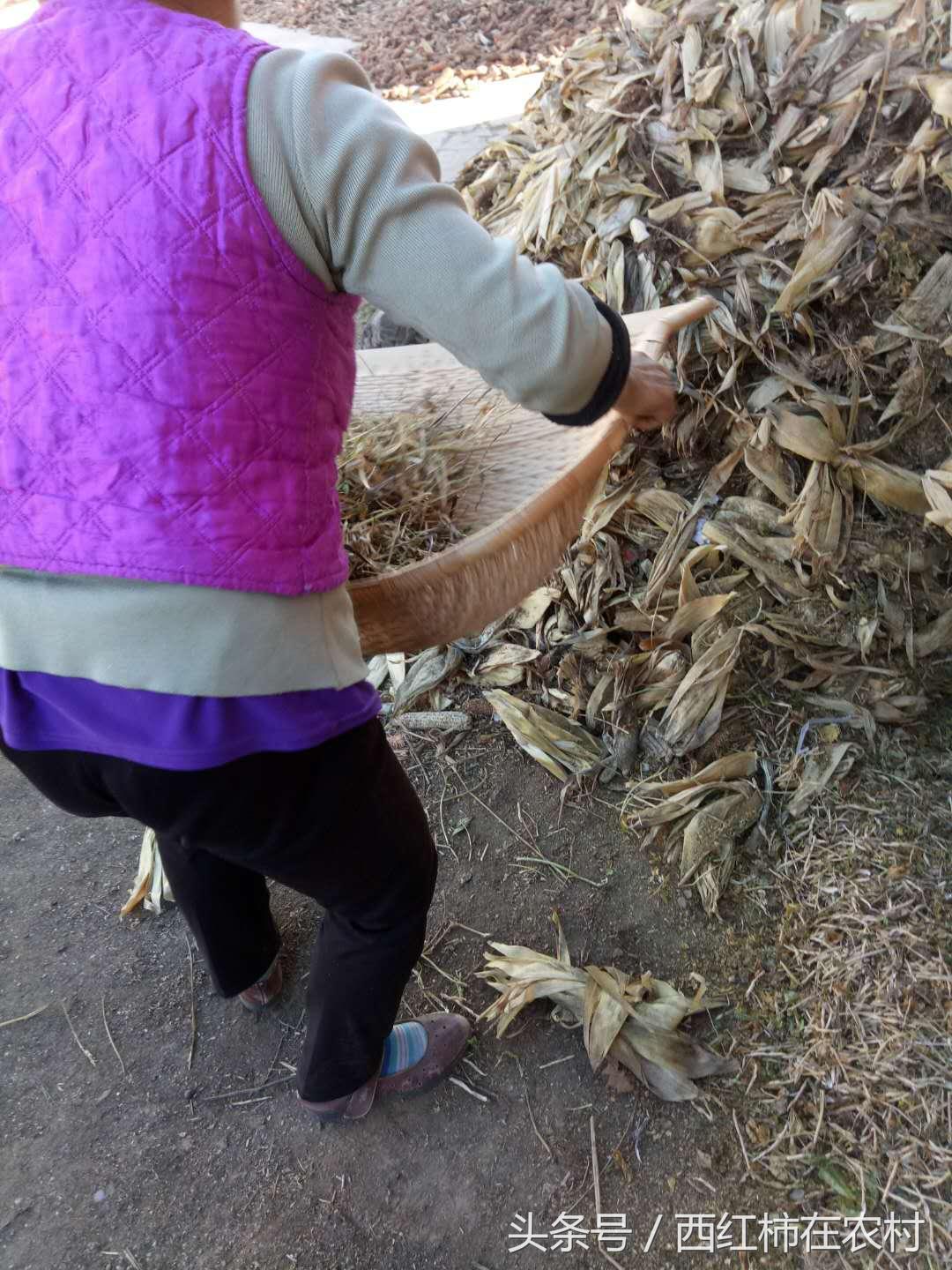 彬縣撤縣設(shè)區(qū)最新進(jìn)展，最新動(dòng)態(tài)更新