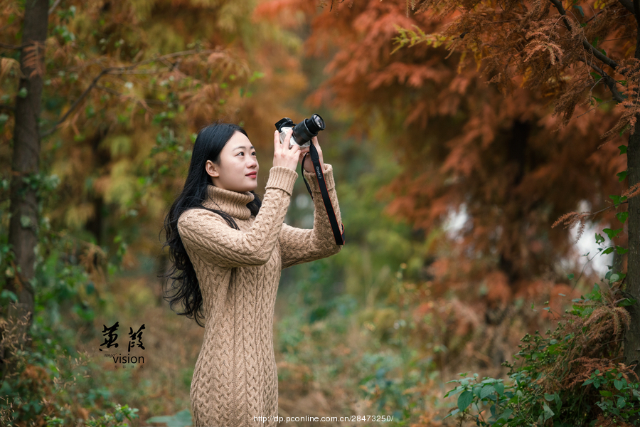 伊人在線電影，探索現(xiàn)代網(wǎng)絡(luò)影視的新境界