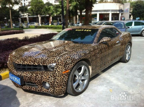 車膜價(jià)格深度解析與我的觀點(diǎn)分享