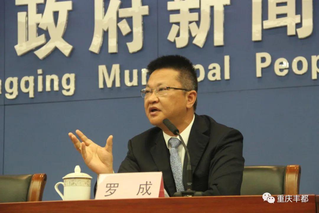 豐都新聞快訊，日常溫情與陪伴的瞬間