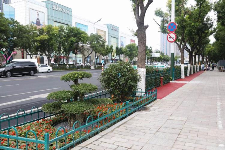 濰坊市奎文區(qū)改造工程，自然美景的探索之旅