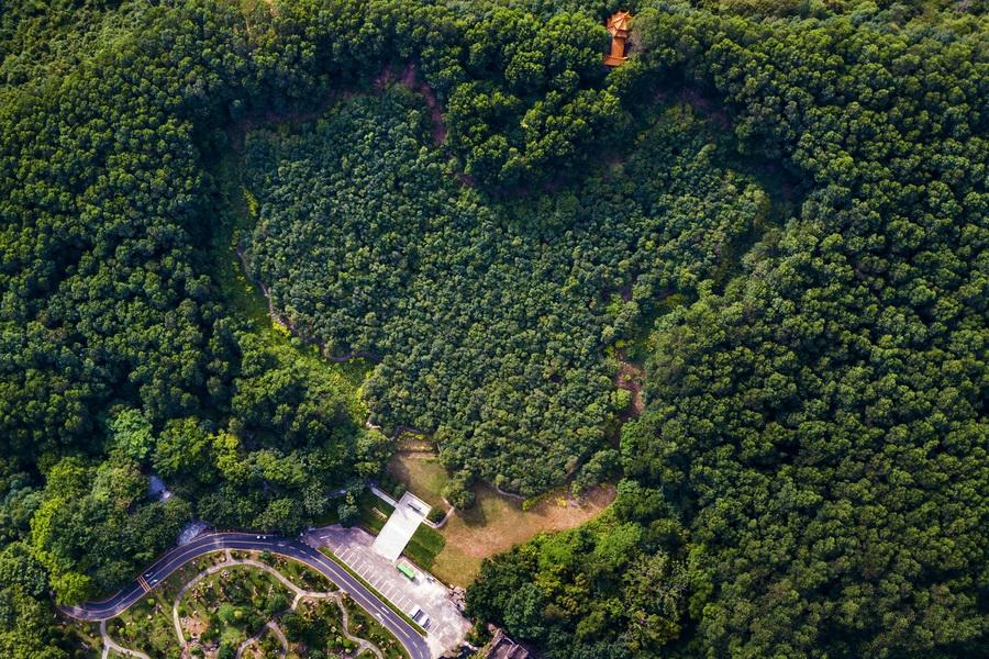 香港演員林，溫馨日常的點滴記錄