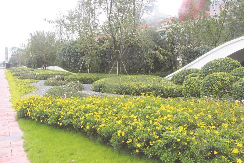 嬢王演員的自然之旅，邂逅美景，尋找內(nèi)心平和之道