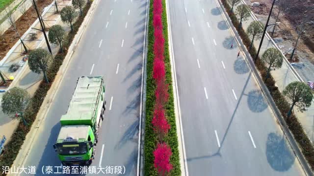 關(guān)花大道最新進(jìn)展，矚目盛景呈現(xiàn)！