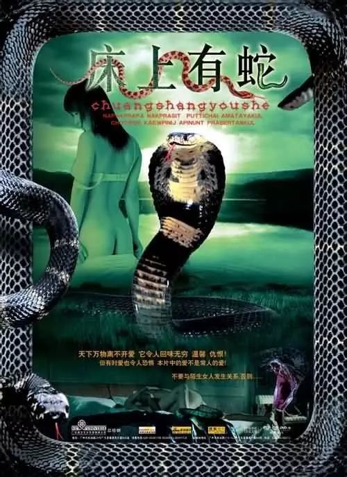 最新蛇片，蛻變的旅程，召喚自信與成就感的冒險(xiǎn)之旅