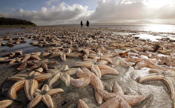 死亡擱淺電影，小巷深處的獨特觀影之旅