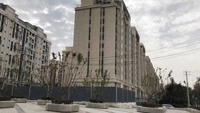 趙村最新動態(tài)，鄉(xiāng)村振興新篇章開啟