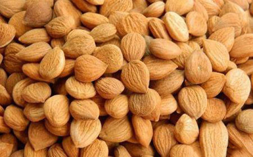 苦杏仁行情深度解析，背景、事件與地位探究