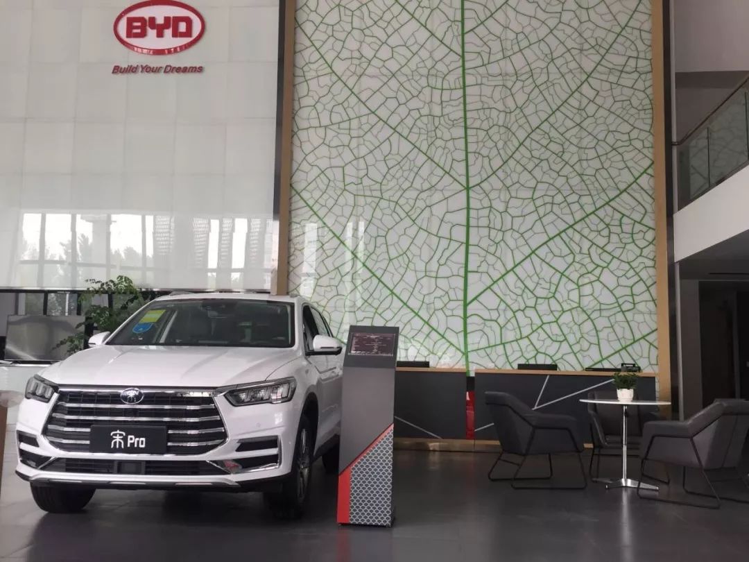 重磅更新，比亞迪最新招聘信息揭秘???