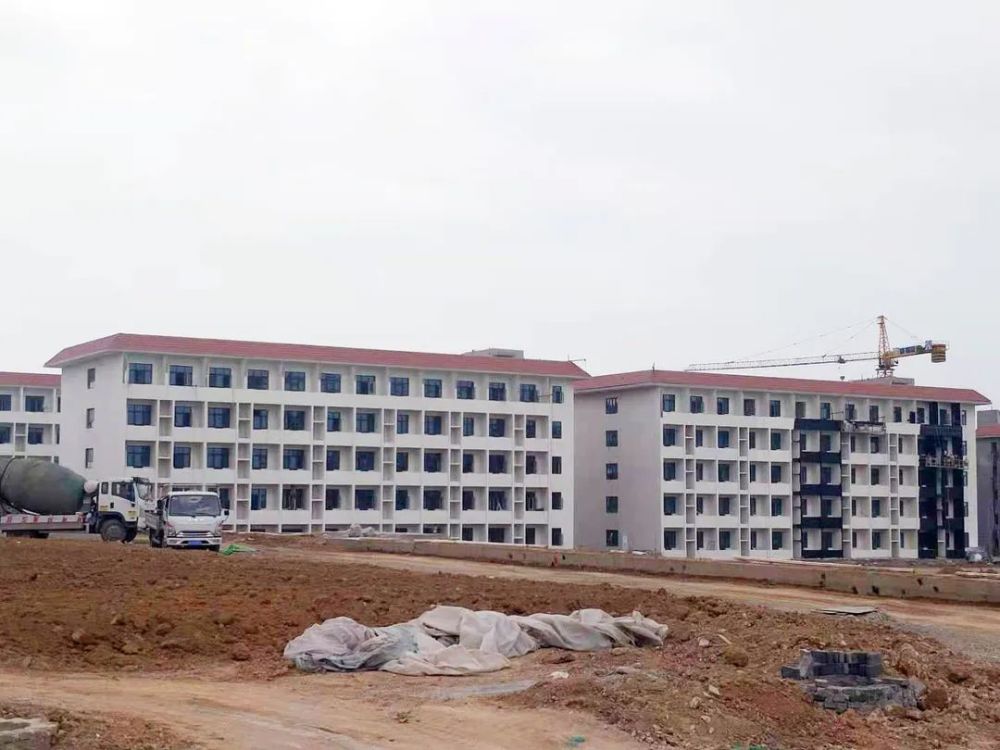 甘谷新聞，大石車禍最新進展及觀點論述深度解析