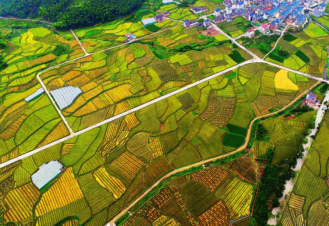 金竹最新規(guī)劃發(fā)布，開啟學(xué)習(xí)新篇章，培養(yǎng)自信與成就感的源泉