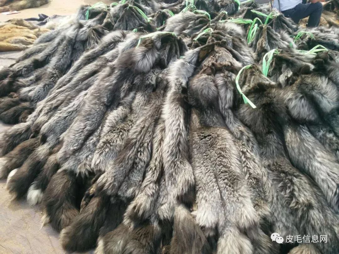 貉皮尚村最新價格，小巷中的時尚皮草寶藏探索