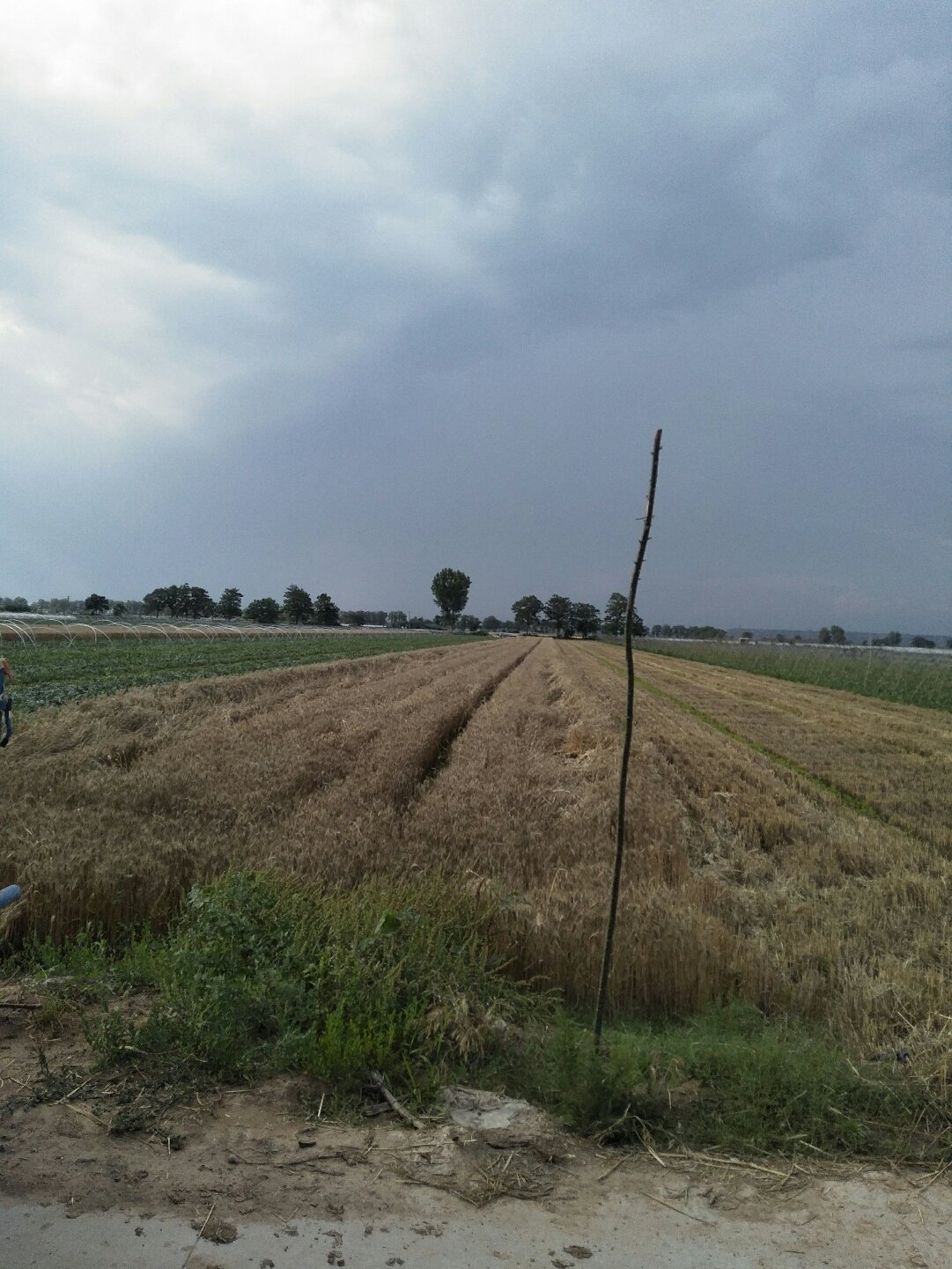 蒲城天氣預(yù)報，暖陽下的友情時光