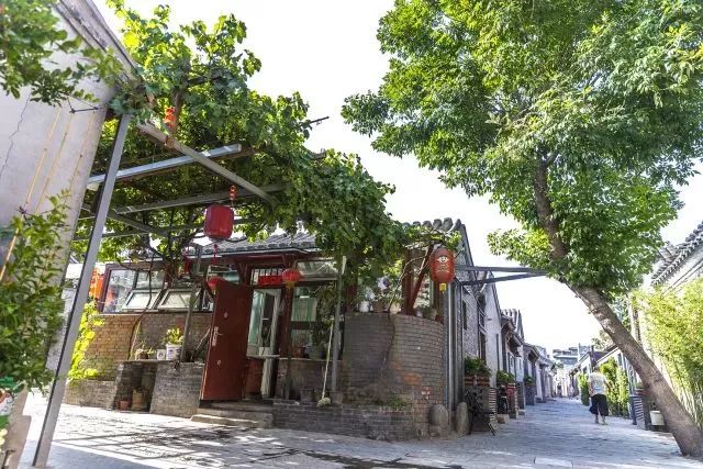 草社區(qū)美食探險(xiǎn)之旅，探尋小巷中的隱藏寶藏與最新地址揭秘