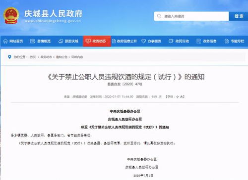 酒駕處罰2024最新標(biāo)準(zhǔn)詳解，步驟指南與更新概覽