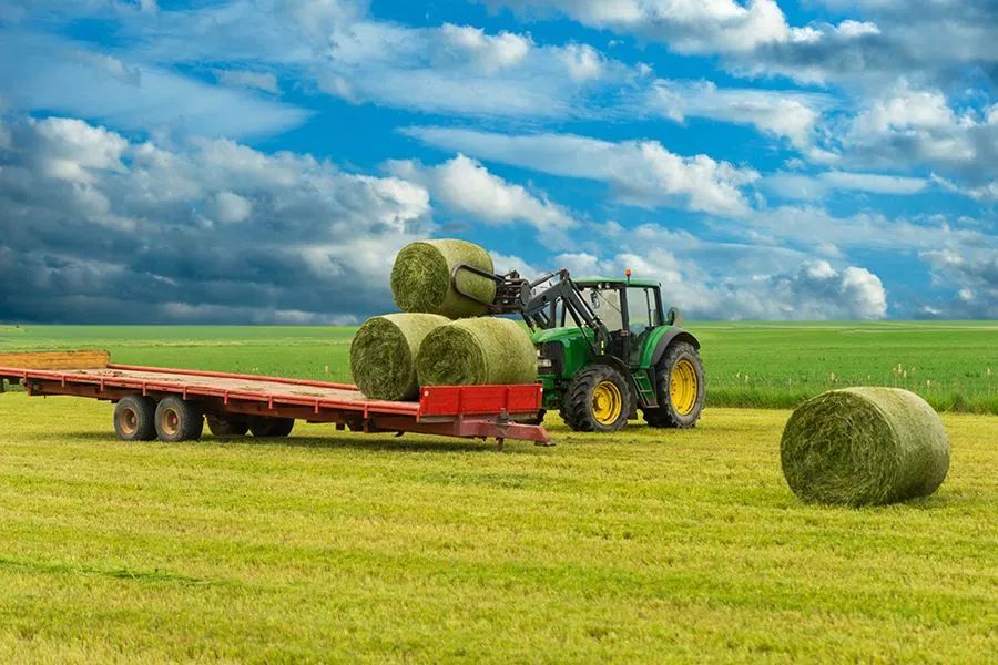 農(nóng)業(yè)最新動(dòng)態(tài)，時(shí)代的脈搏與綠色希望共舞