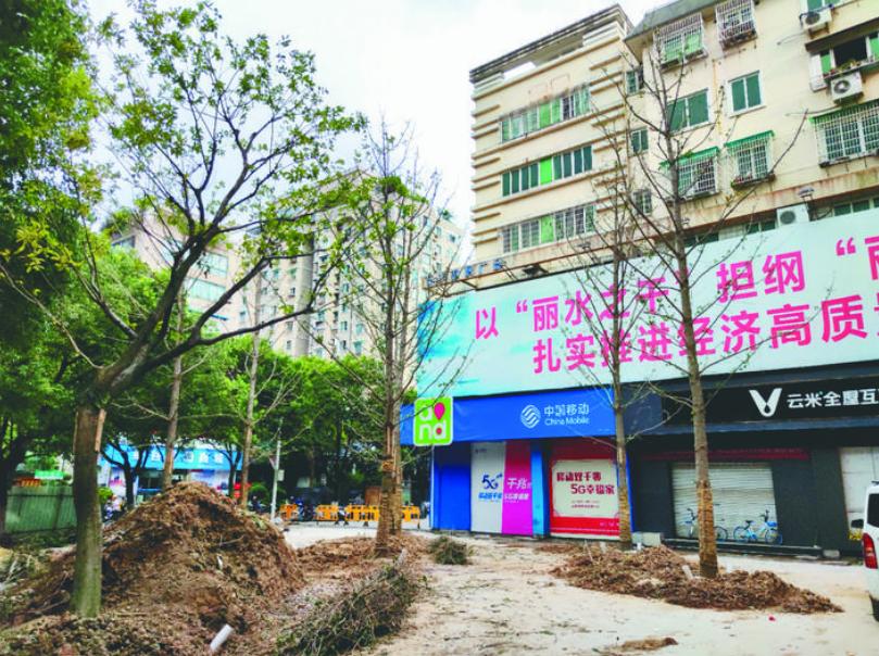 最新吊車網(wǎng)，自然美景之旅與內(nèi)心平靜的探尋