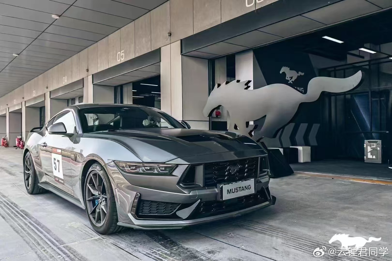 野馬擼最新動(dòng)態(tài)，駕馭變化，自信成就夢(mèng)想之旅