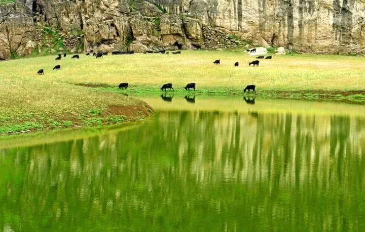 青草最新在線視頻，自然與科技融合之美展現(xiàn)的力量