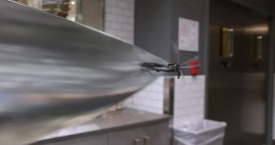 最新電泳技術，一路向前，學習成就自信之源