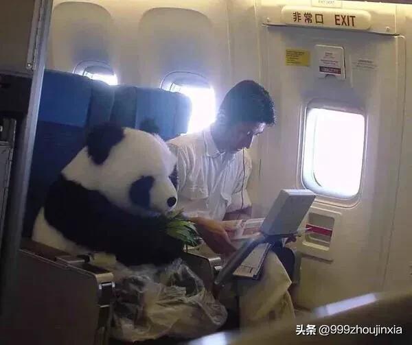 追逐變化之翼，學習鑄就自信與成就——虛幻最新探討