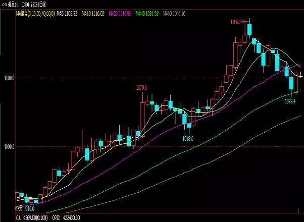豆油最新行情概覽，市場走勢分析與未來展望